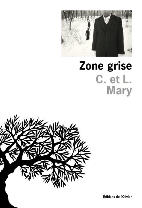Couverture ebook de Zone Grise, de C. Mary, L. Mary