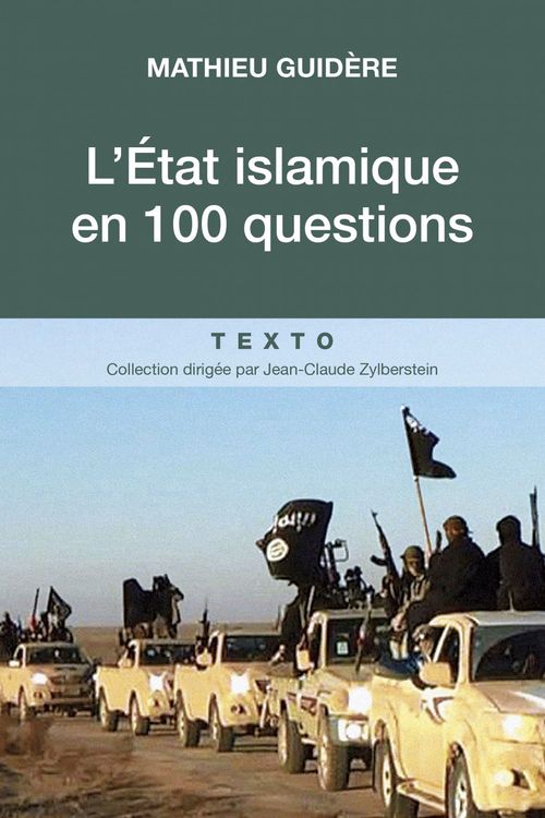 Couverture ebook de L'État islamique en 100 questions, de Mathieu Guidère
