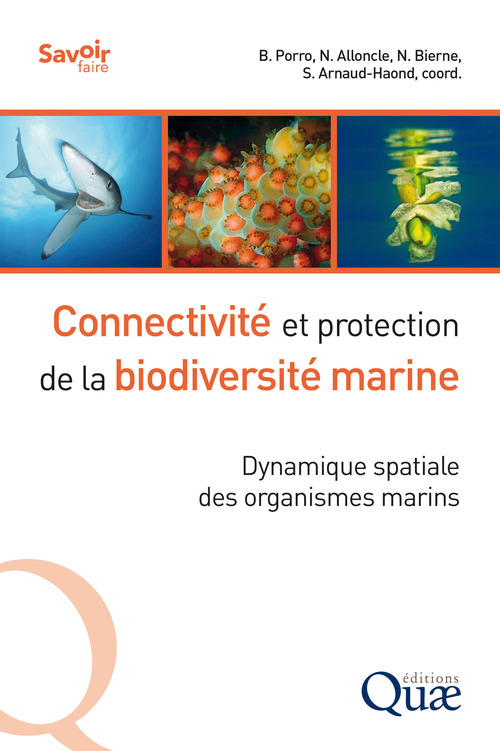 Couverture ebook de Connectivité et protection de la biodiversité marine, de Neil Alloncle, Sophie Arnaud-haond, Nicolas Bierne, Barbara Porro