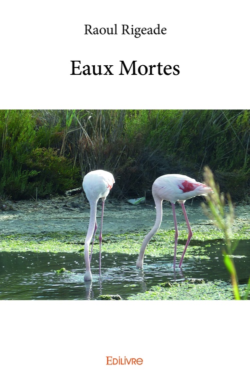 ebook cover of Eaux Mortes, by Raoul Rigeade
