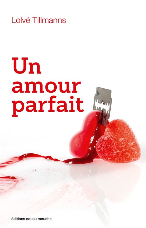 ebook cover of Un amour parfait, by Lolvé Tillmanns
