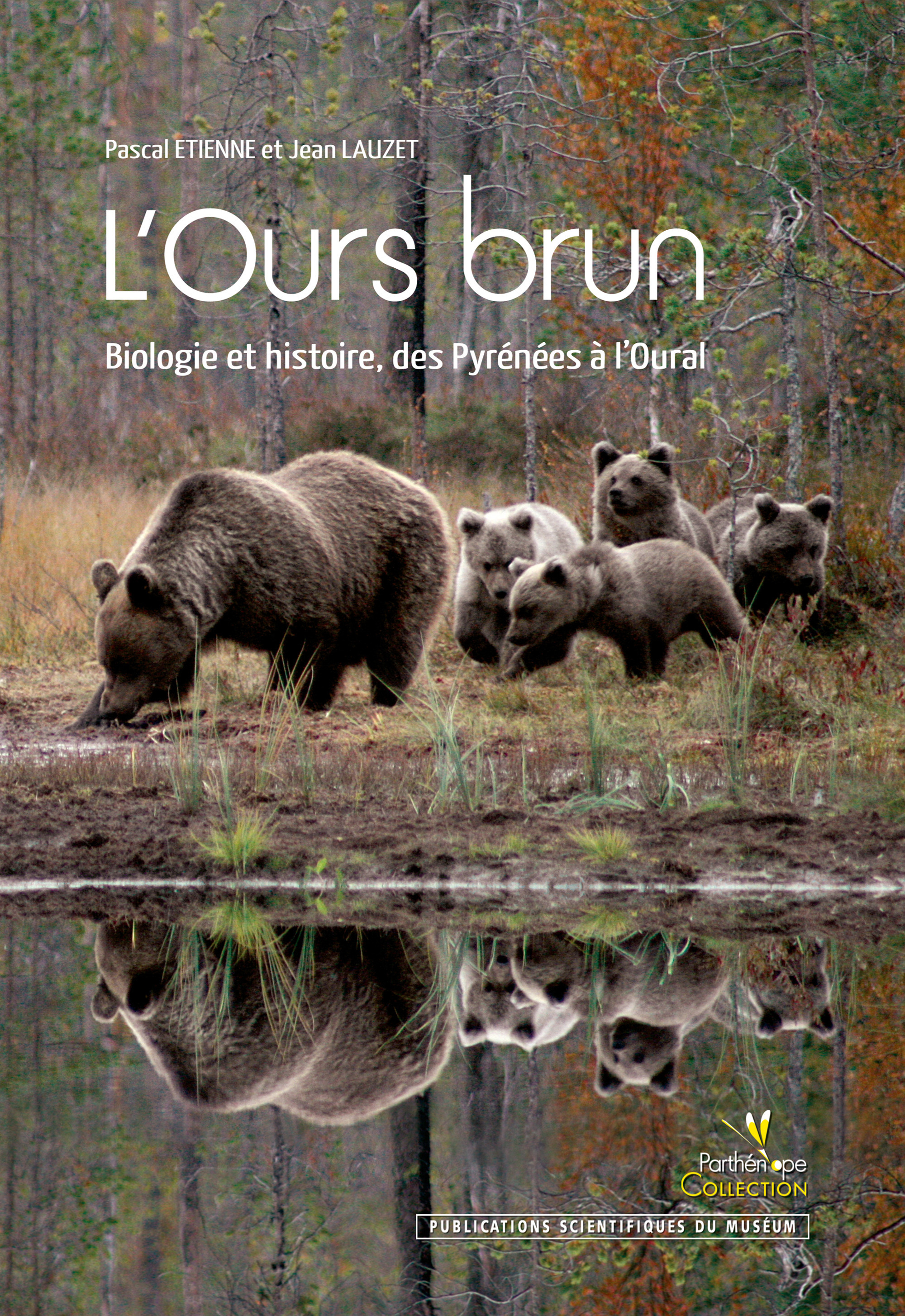 Couverture ebook de L´Ours brun, de Etienne/Lauzet