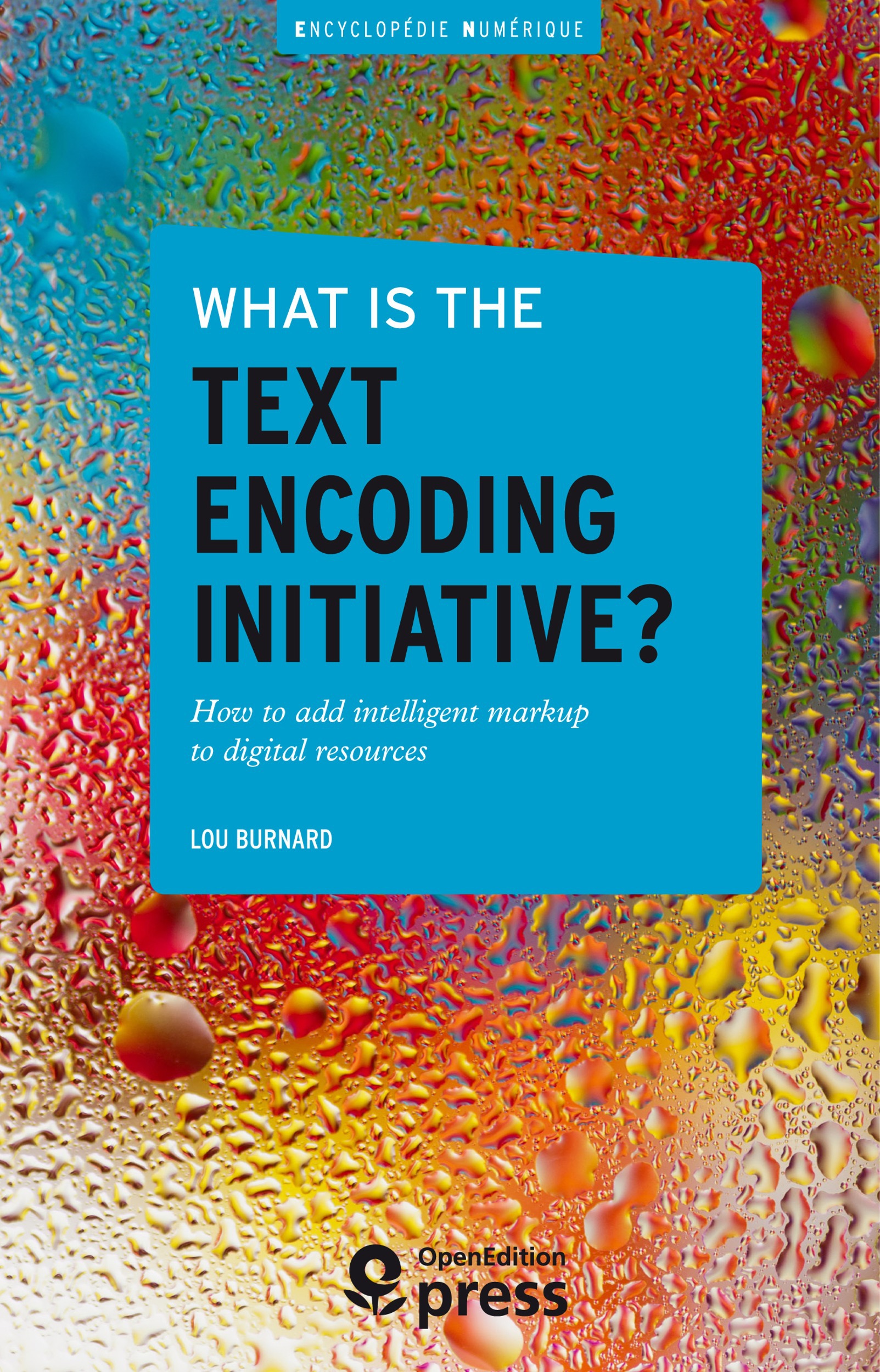 ebook cover of What is the Text Encoding Initiative?, by Lou Burnard