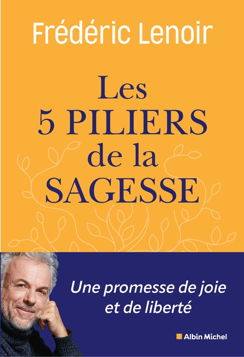 Couverture ebook de Les Cinq piliers de la sagesse, de Frédéric Lenoir, Jeanne Raimbault