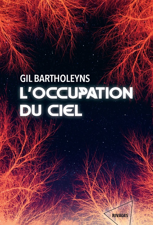 Couverture ebook de L'occupation du ciel, de Gil Bartholeyns