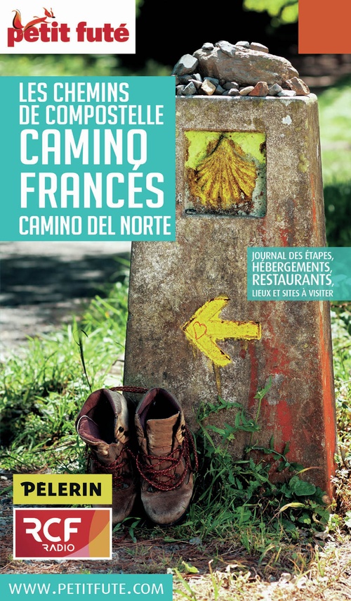 ebook cover of CHEMINS COMPOSTELLE - CAMINO FRANCES 2016 Petit Futé, by Collectif petit futé