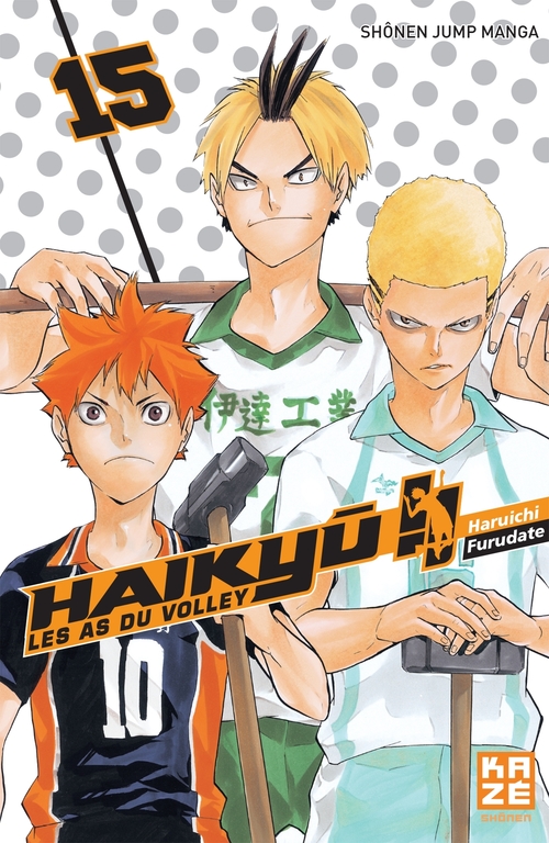Couverture ebook de Haikyu !! - Les As du volley T15, de Haruichi Furudate
