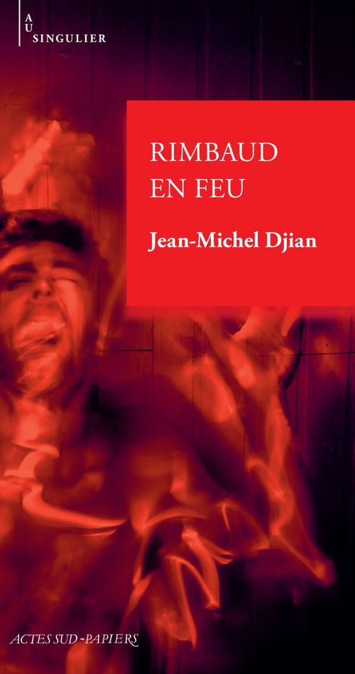 ebook cover of Rimbaud en feu, by Jean-Michel Djian