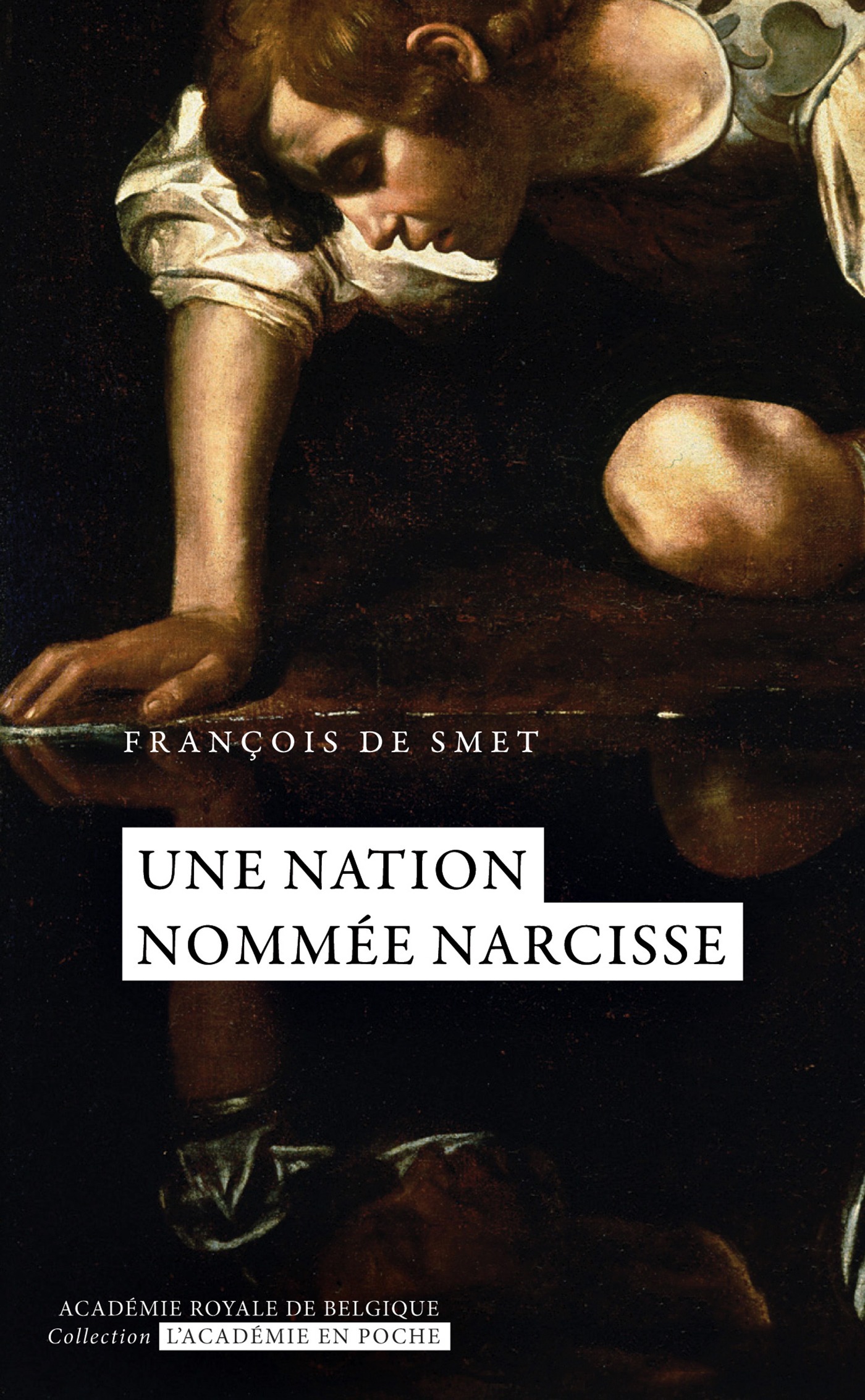 ebook cover of Une nation nommée Narcisse, by François de Smet