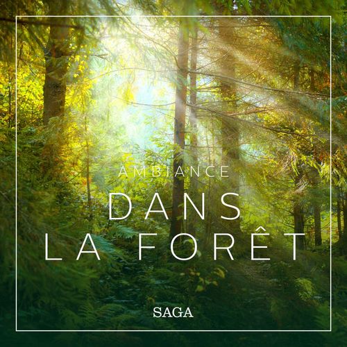 Couverture audiobook de Ambiance - Dans la forêt, de Rasmus Broe