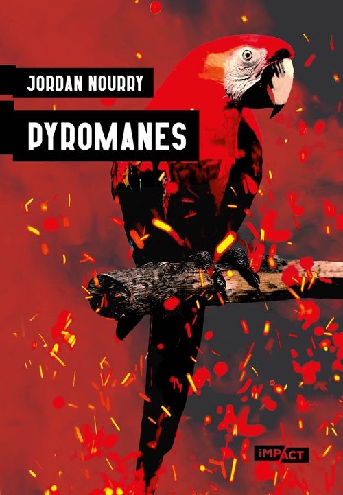 Couverture ebook de Pyromanes - Numerique, de Jordan Nourry