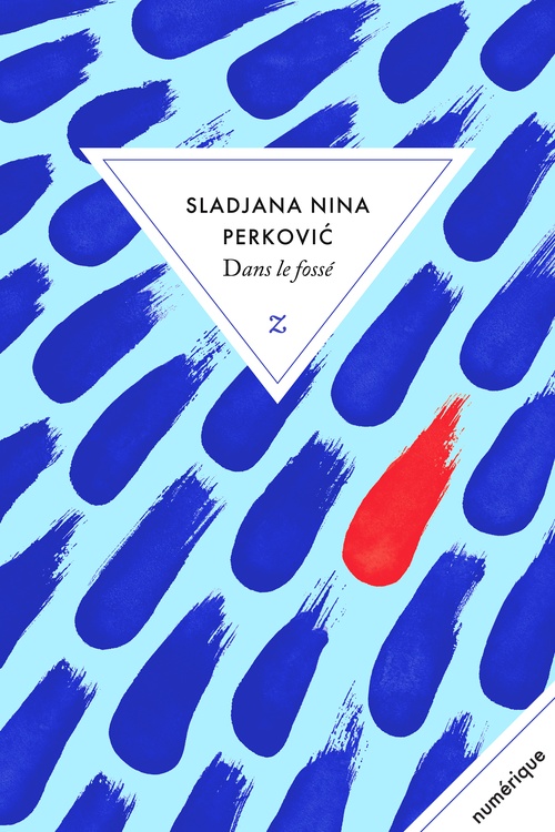 Couverture ebook de Dans le fossé, de Sladjana Nina Perkovic