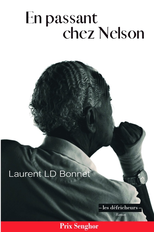 ebook cover of En passant chez Nelson, by Laurent Ld Bonnet