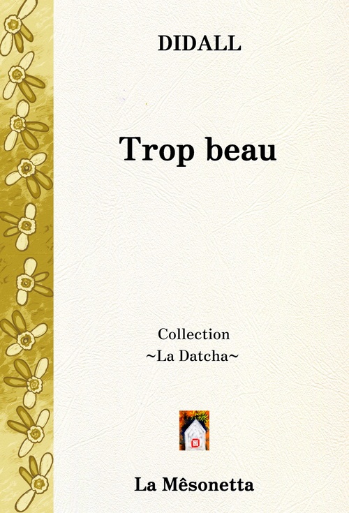 Couverture ebook de Trop beau, de Didall