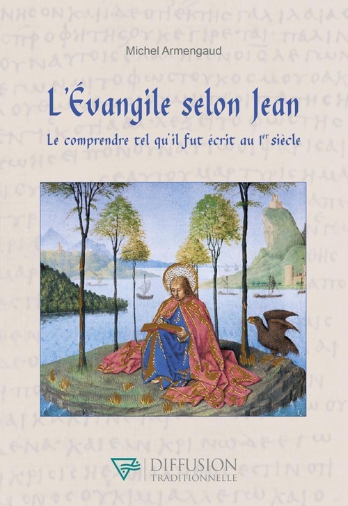 Couverture ebook de L'Evangile selon Jean - Le comprendre tel qu'il fut écrit au 1er siècle, de Michel Armengaud
