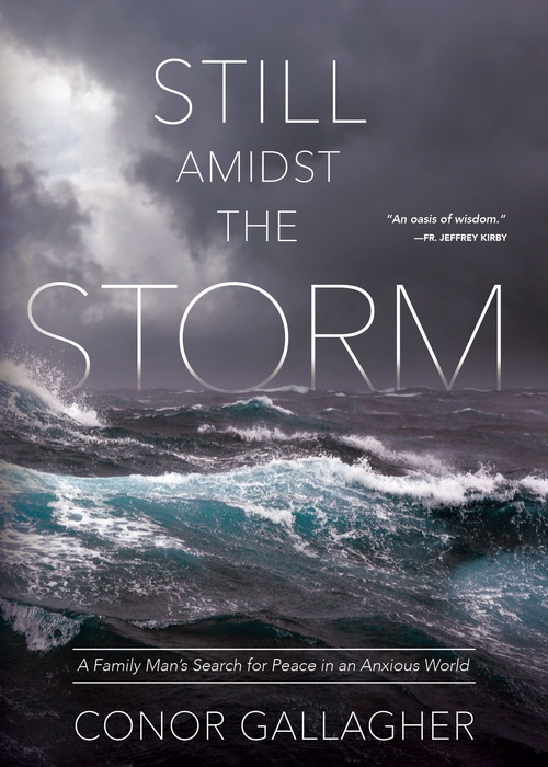 Couverture ebook de Still Amidst the Storm: A Family Man's Search for Peace in an Anxious World, de Conor Gallagher