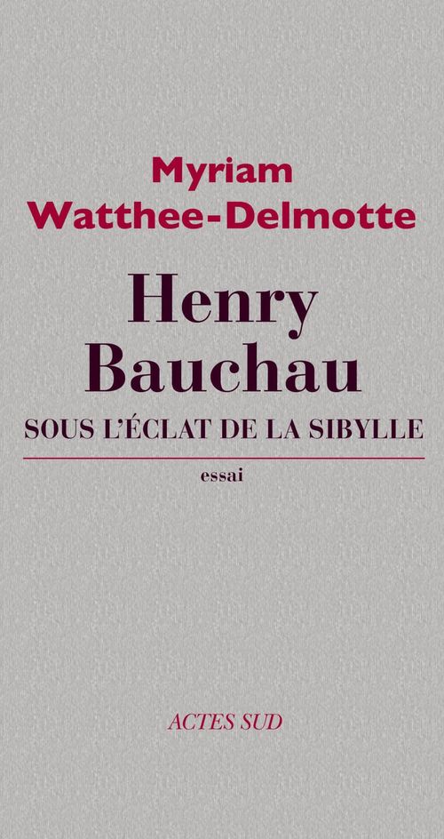 ebook cover of Henry Bauchau, by Myriam Watthee-Delmotte
