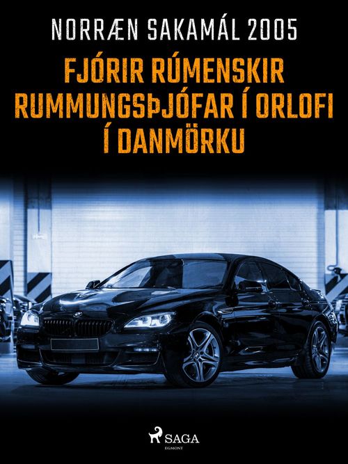 ebook cover of Fjórir rúmenskir rummungsþjófar í orlofi í Danmörku, by Ymsir Hofundar