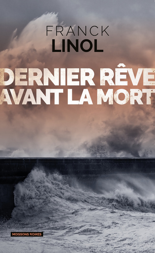 Couverture ebook de Dernier rêve avant la mort, de Franck Linol