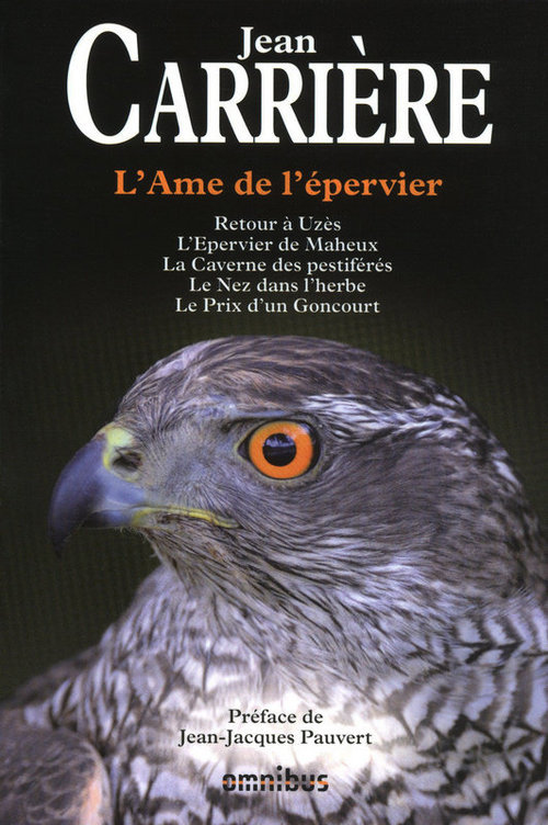Couverture ebook de L'âme de l'épervier, de Carriere/Pauvert
