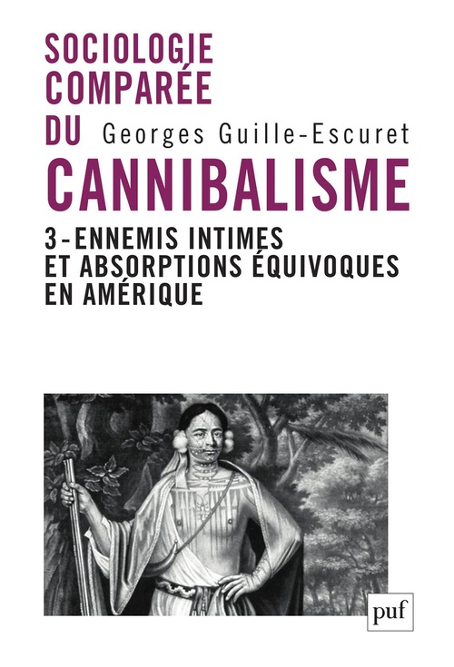 Couverture ebook de Ennemis intimes et absorptions équivoques en Amérique, de Georges Guille-Escuret