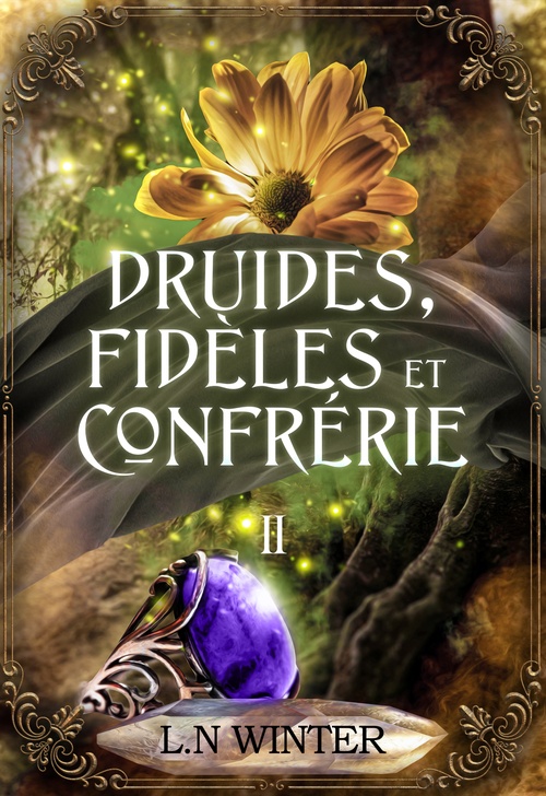 ebook cover of Le secret des druides, by L. N. Winter