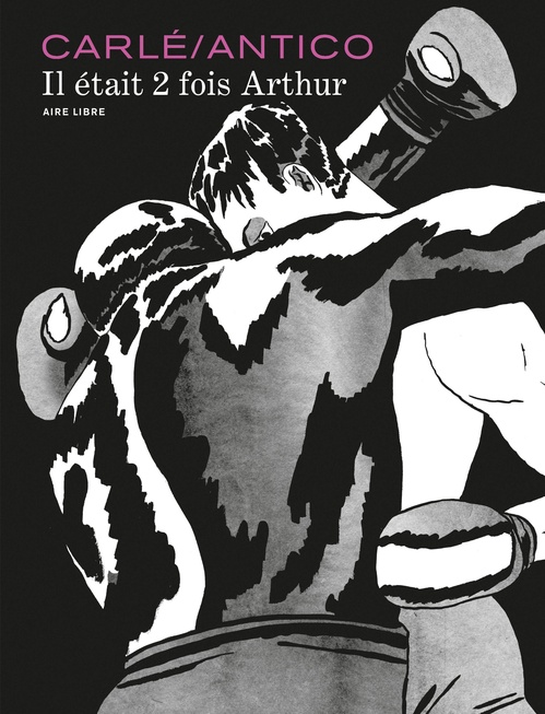 Couverture ebook de Il était 2 fois Arthur, de Nine Antico