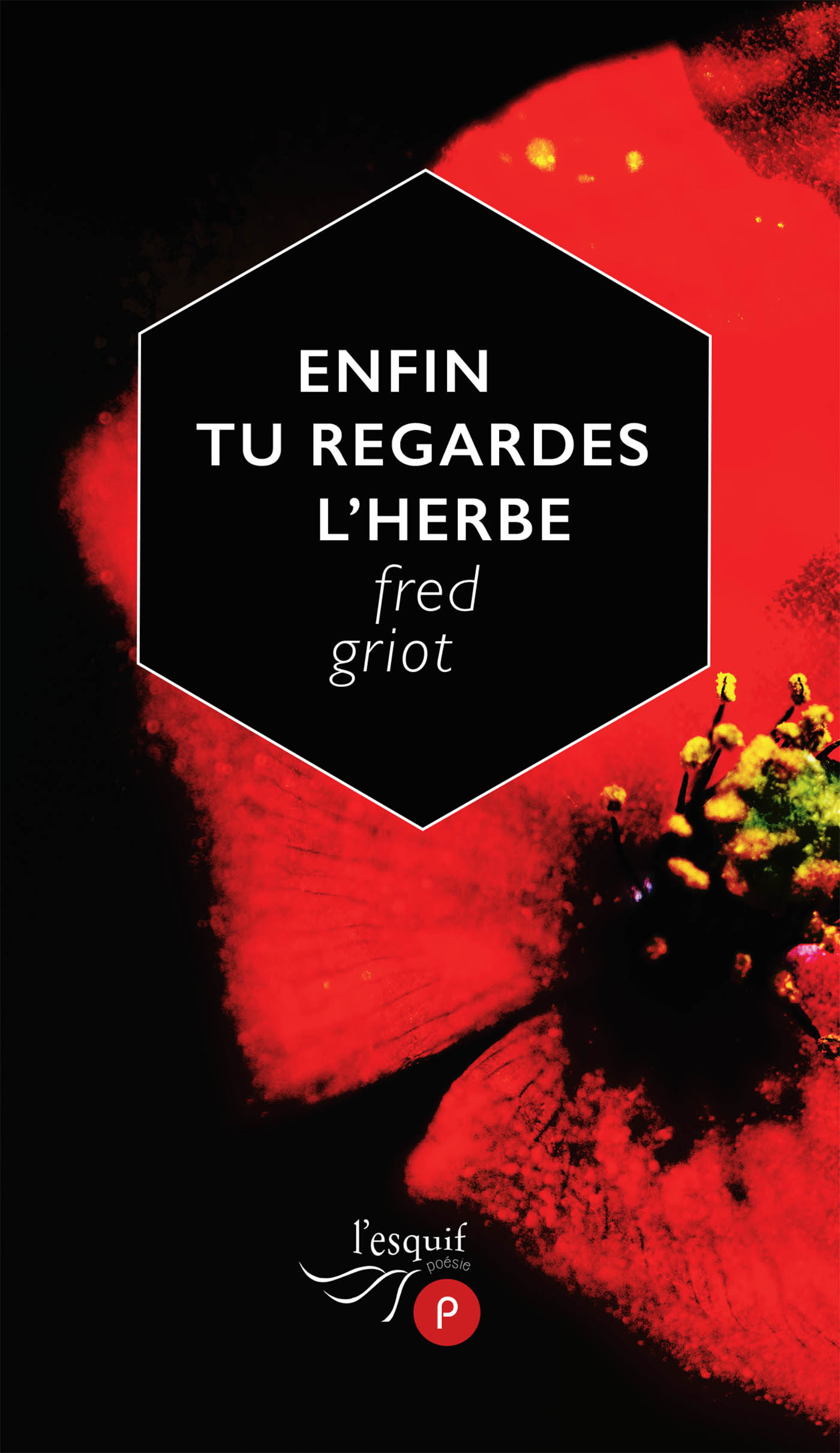 Couverture ebook de Enfin tu regardes l'herbe, de Fred Griot