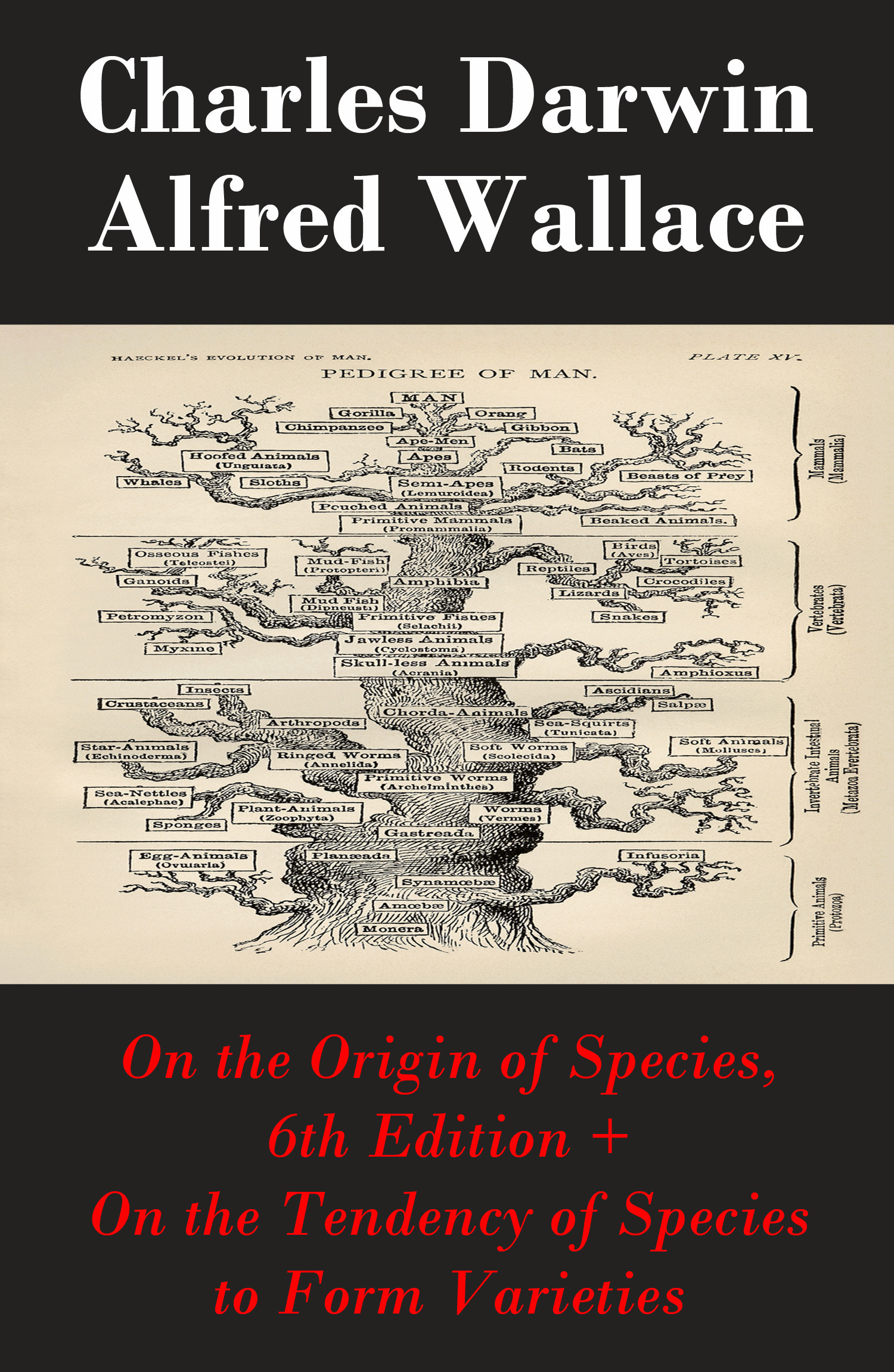 ebook cover of On the Origin of Species, 6th Edition + On the Tendency of Species to Form Varieties (The Original Scientific Text leading to "On the Origin of Species"), by Charles Darwin