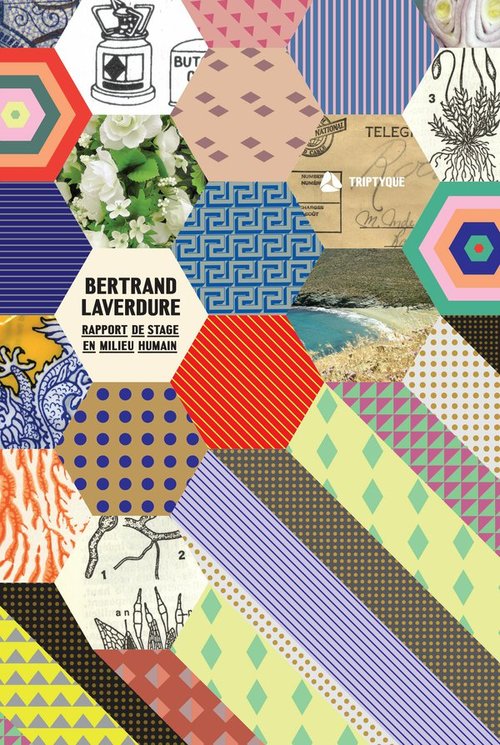 ebook cover of Rapport de stage en milieu humain, by Laverdure Bertrand