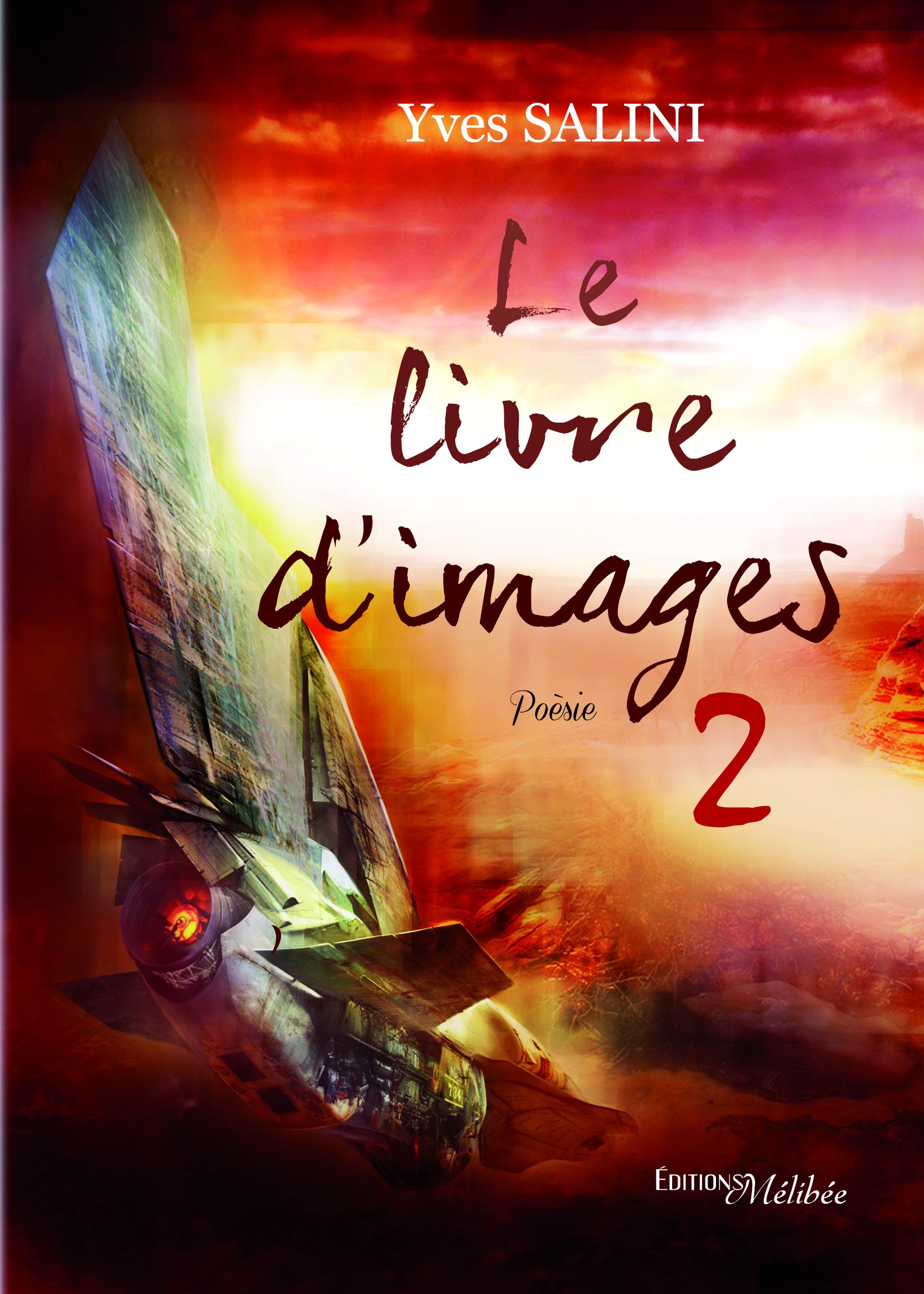 ebook cover of Le livre d'images 2, by Yves Salini