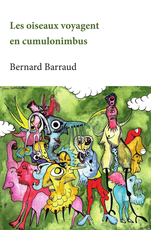 Couverture ebook de Les oiseaux voyagent en cumulonimbus, de Bernard Barraud