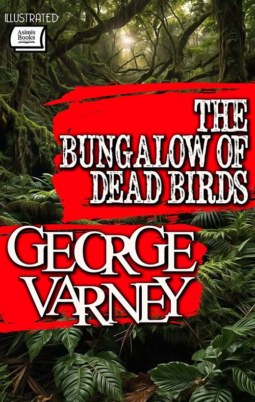 ebook cover of The Bungalow of Dead Birds. Illustrated, by George Varney
