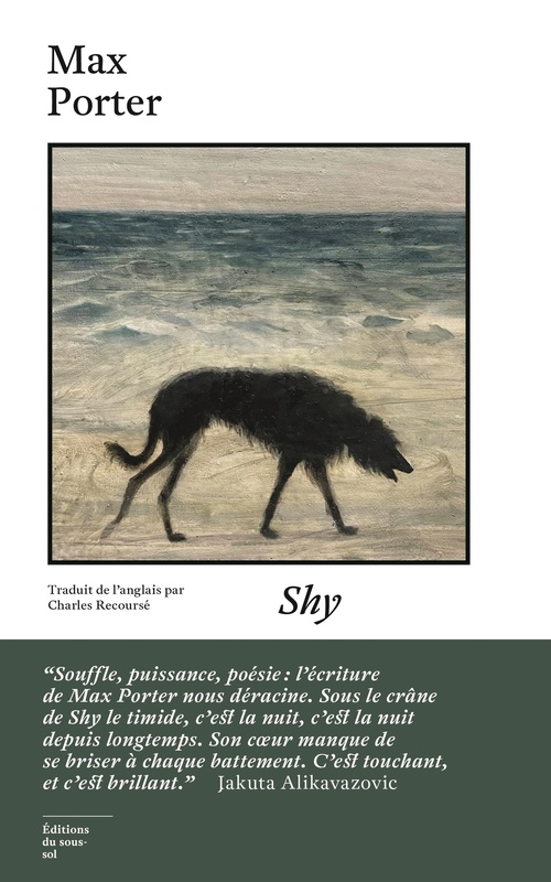 ebook cover of Shy, by Max Porter