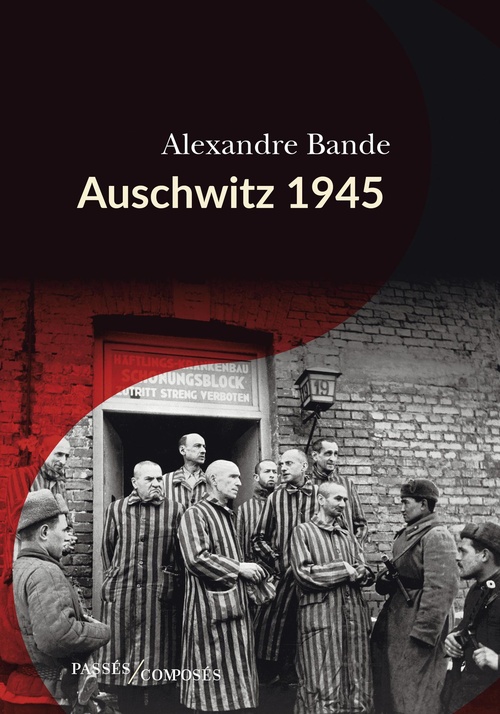 ebook cover of Auschwitz 1945, by Alexandre Bande