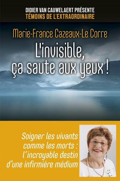 Couverture ebook de L'invisible, ça saute aux yeux !, de Marie-france Cazeaux-le corre