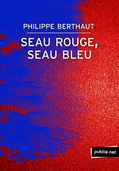 ebook cover of Seau rouge, seau bleu, by Philippe Berthaut