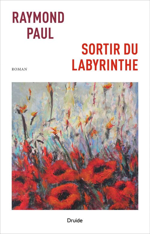 Couverture ebook de Sortir du labyrinthe, de Paul Raymond