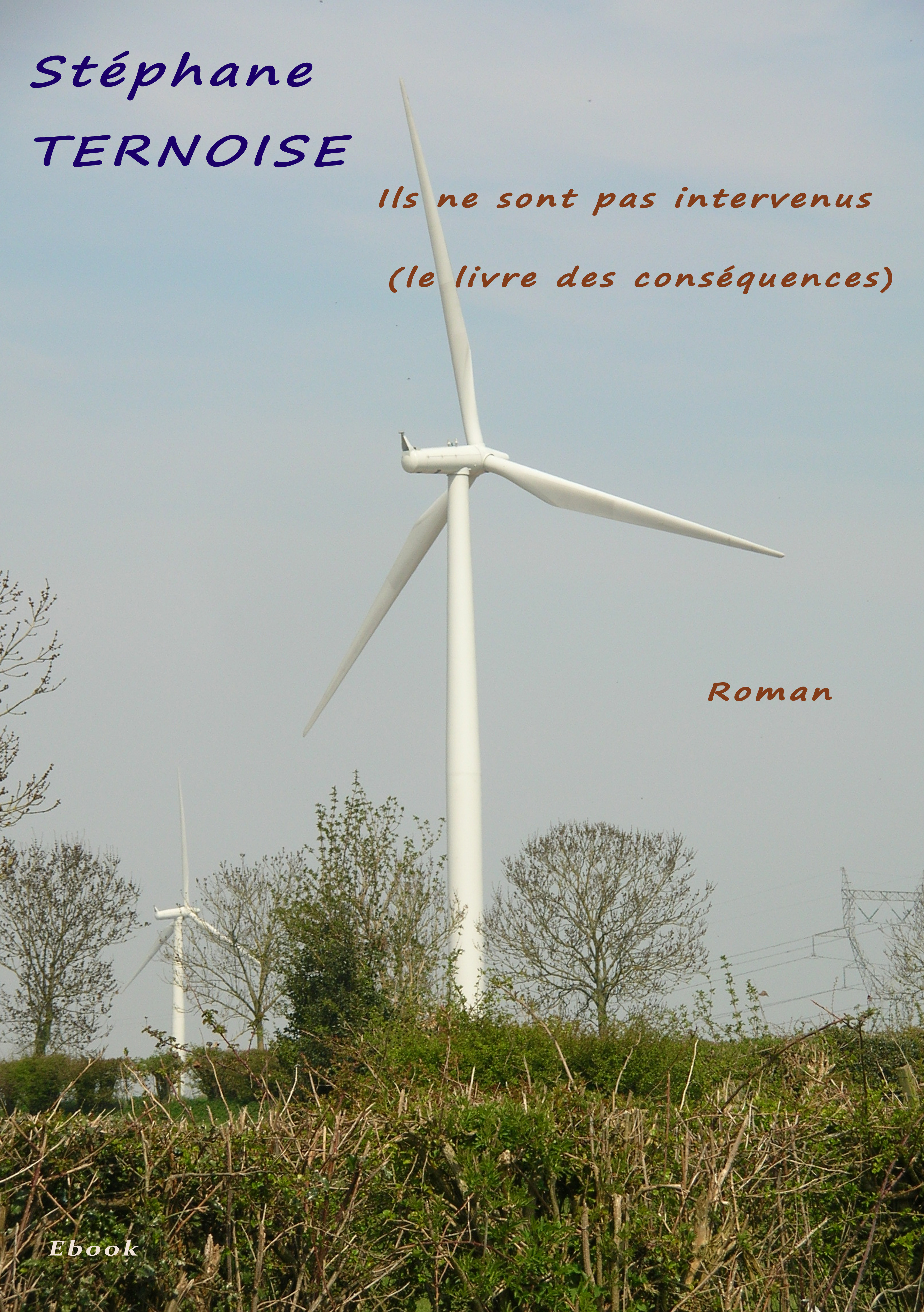 Couverture ebook de Ils ne sont pas intervenus, de Stéphane Ternoise