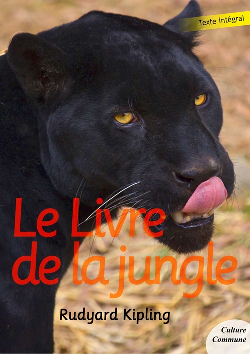 Couverture ebook de Le Livre de la jungle, de Rudyard Kipling