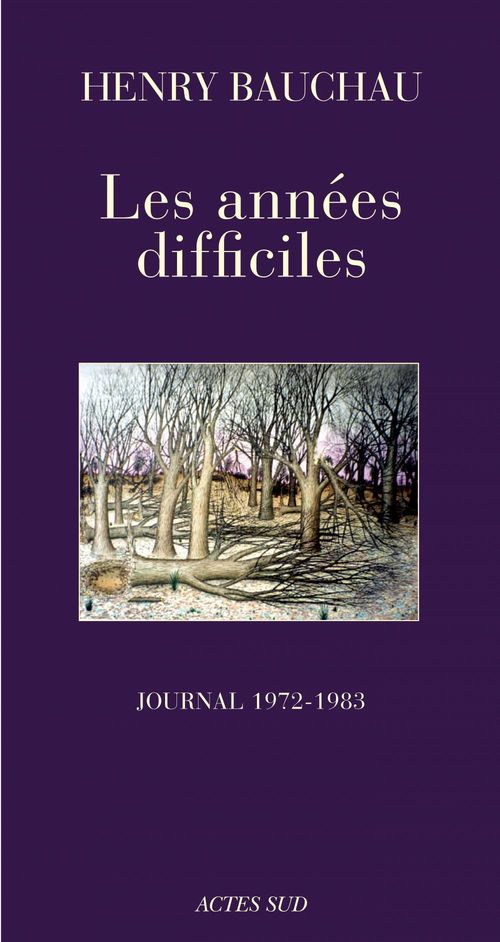 ebook cover of Les années difficiles, by Henry Bauchau
