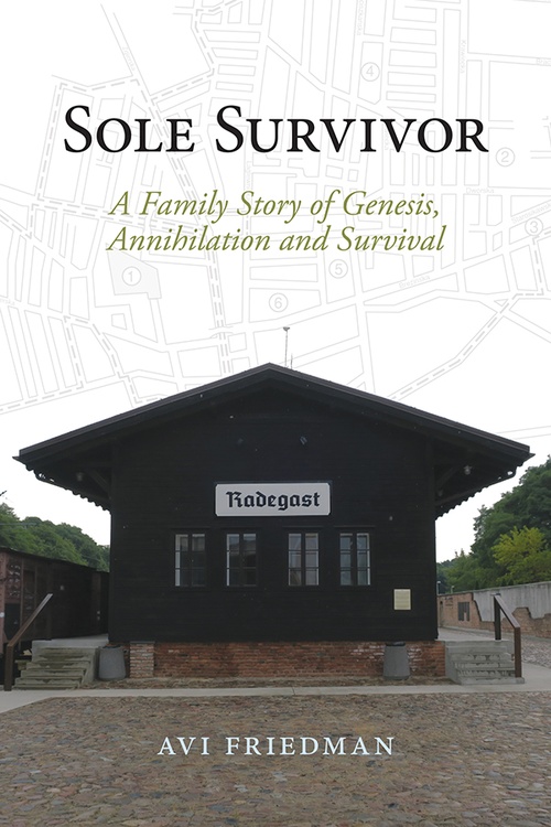 ebook cover of Sole Survivor, by Avi Friedman