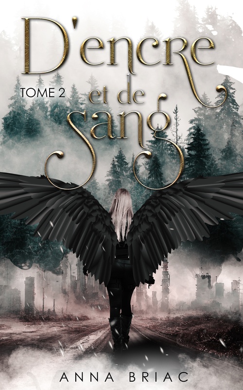 ebook cover of D'encre et de sang, by Anna Briac