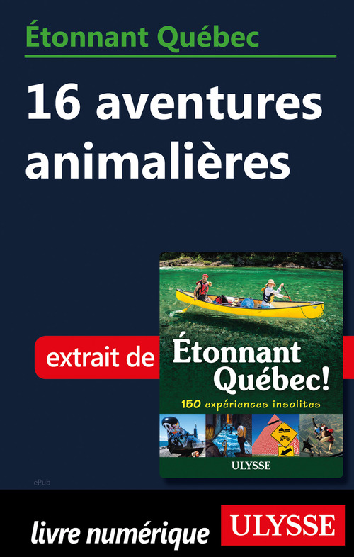 Couverture ebook de Etonnant Québec - 16 aventures animalières, de Julie Brodeur