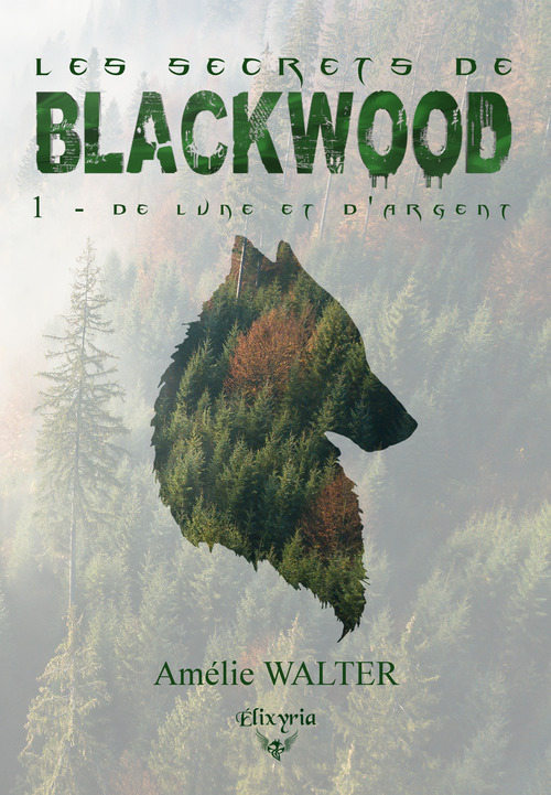 Couverture ebook de Les secrets de Blackwood - 1 - De lune et d'argent, de Amelie Walter