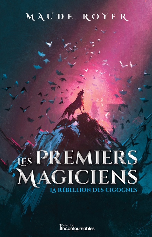 Couverture ebook de La rebellion des cigognes, de Maude Royer