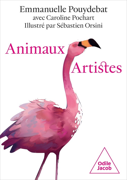 Couverture ebook de Animaux artistes, de Caroline Pochart, Emmanuelle Pouydebat, Sébastien Orsini