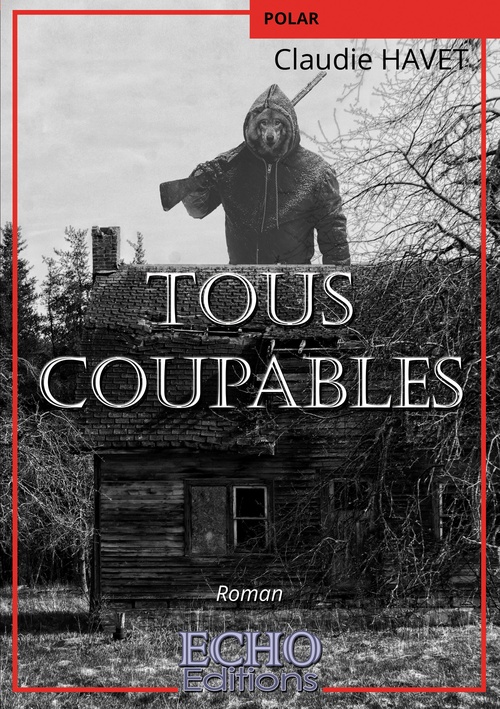 Couverture ebook de Tous coupables, de Claudie Havet
