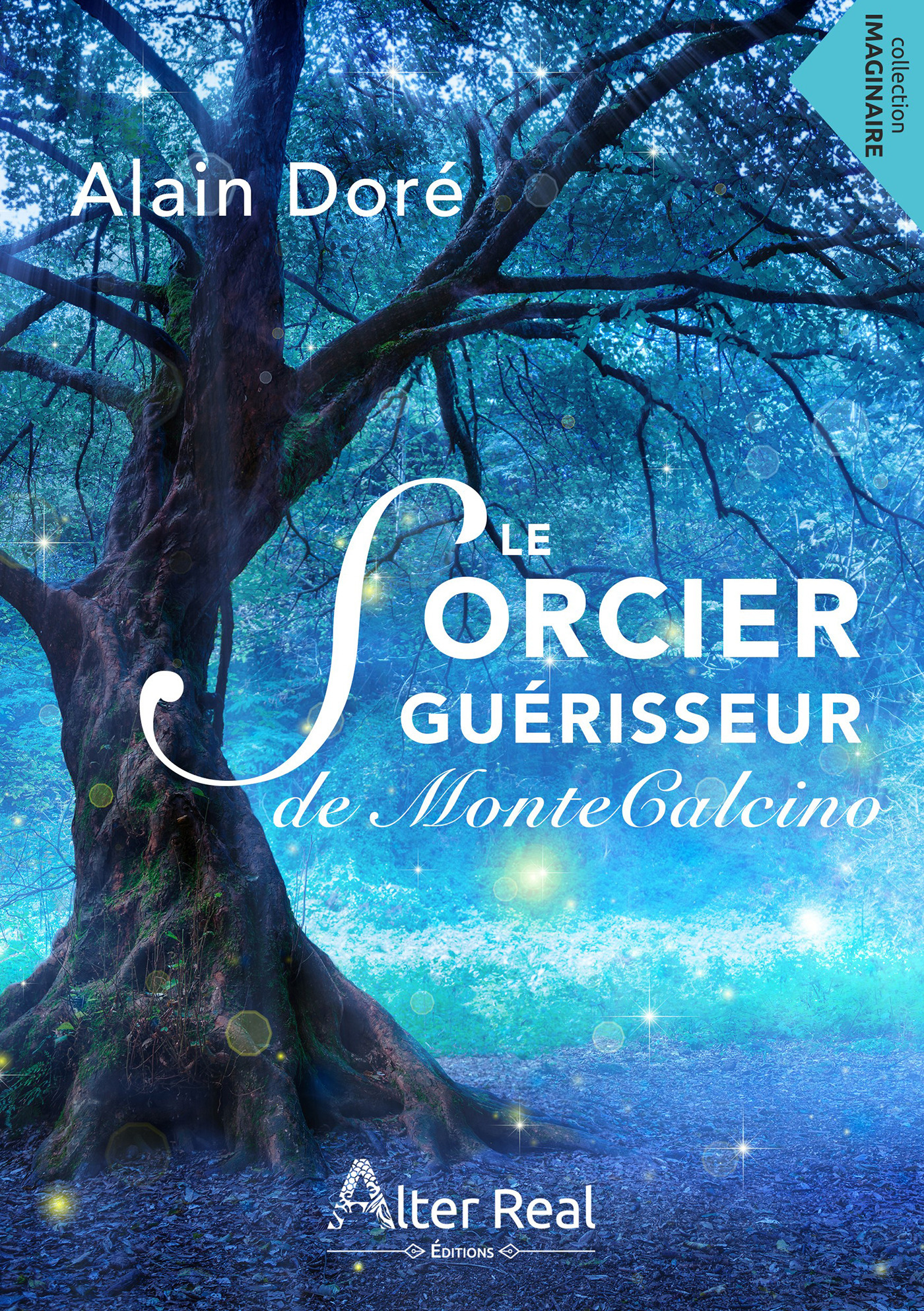 ebook cover of Le sorcier guérisseur de Montecalcino, by Alain Dore