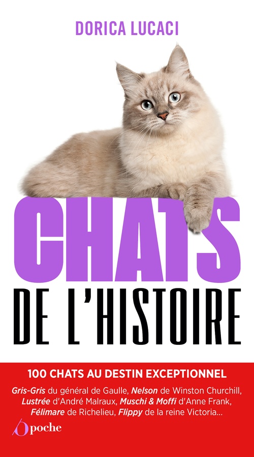 ebook cover of Chats de l'histoire, by Dorica Lucaci
